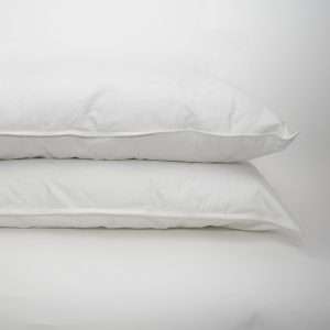 Standard Pillow